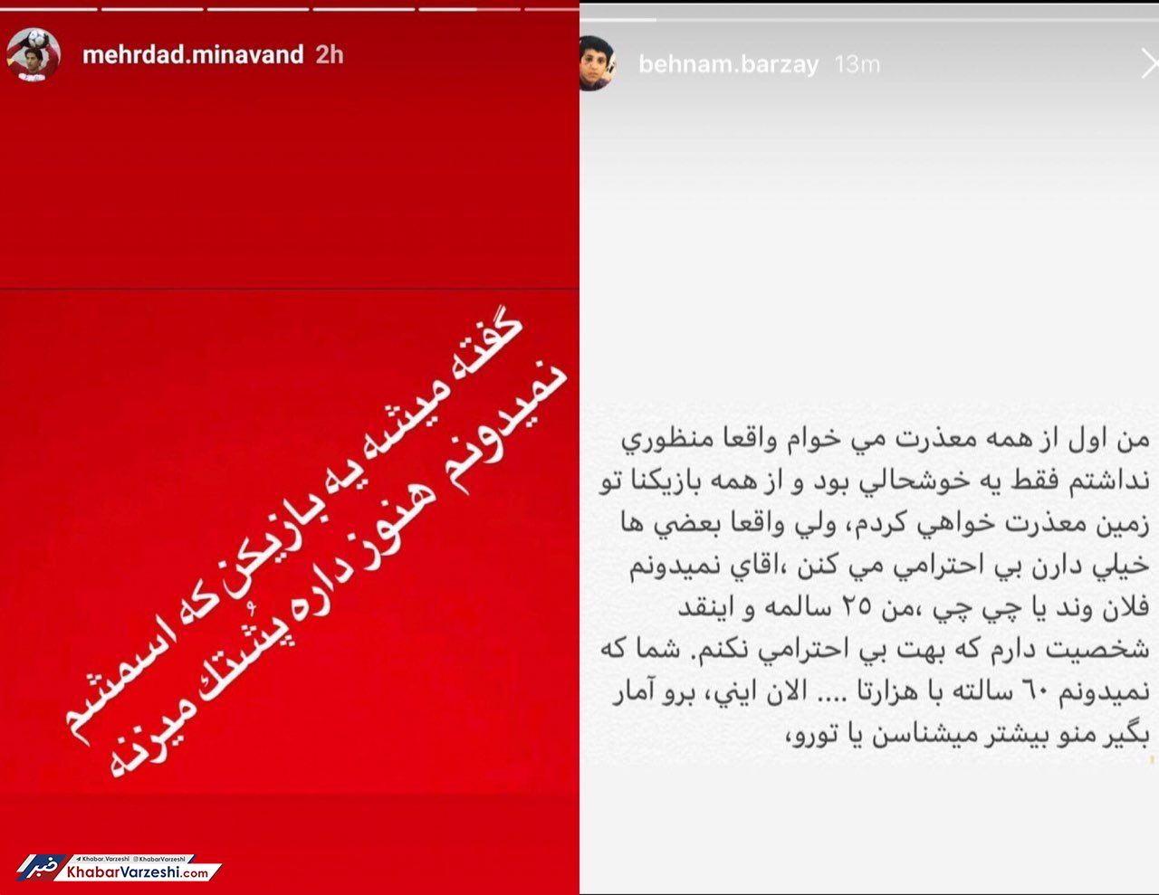 عکس| میناوند و برزای سرشاخ شدند!