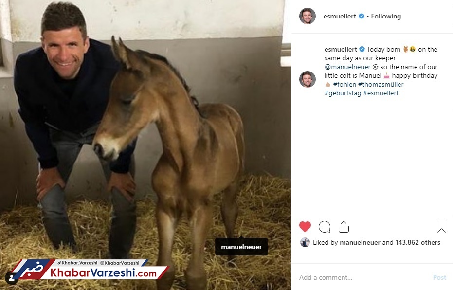 عکس| نام کاپیتان روی اسب هم‌تیمی!