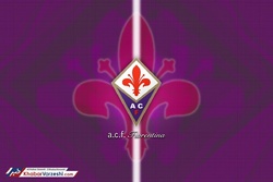 بنفش‌ها آمریکایی شدند