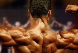 یادداشت| دغدغه‌های امروز بدنسازی