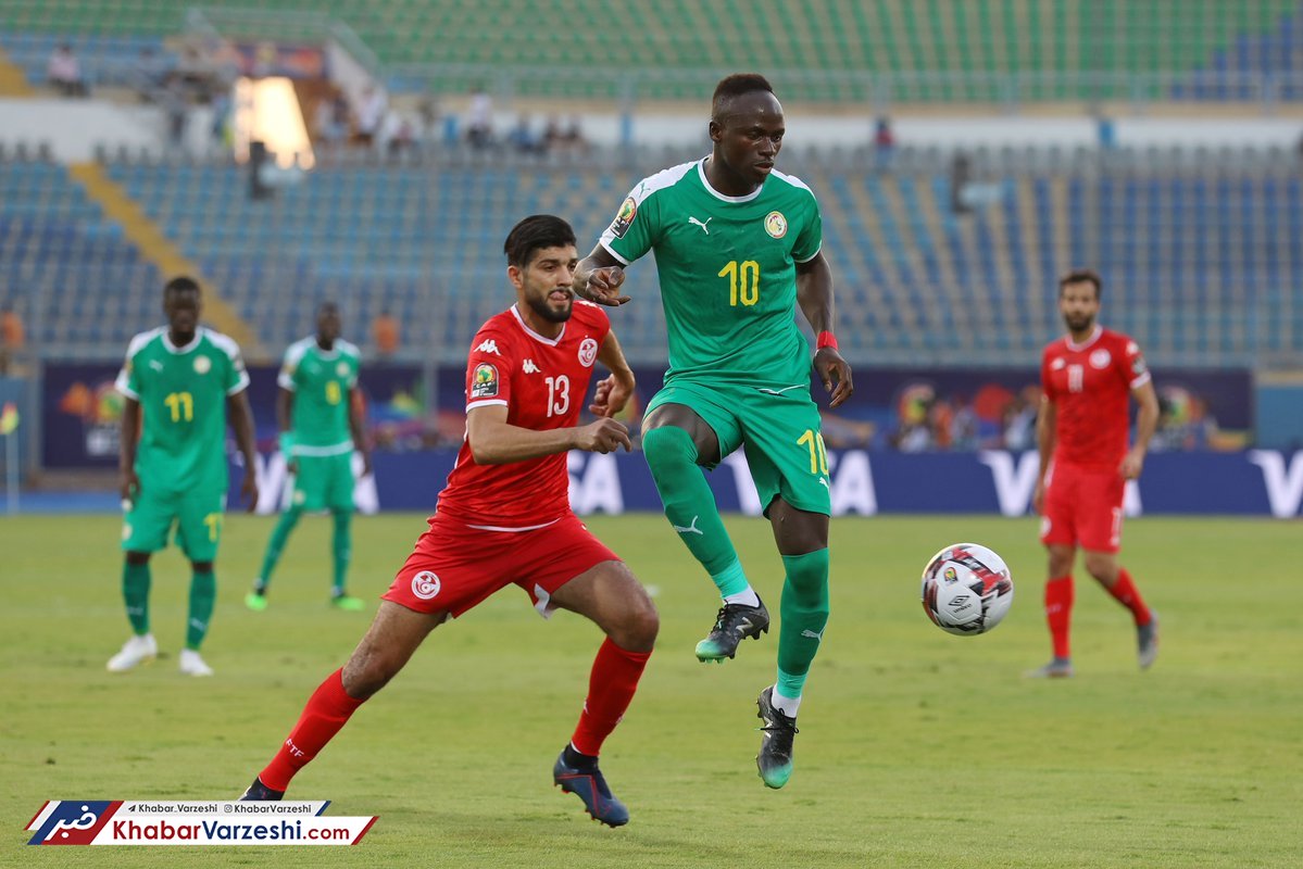 تونس، قربانی شیرهای ترانگا در راه قهرمانی آفریقا