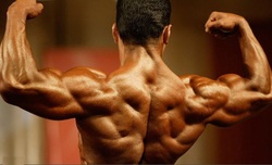 یادداشت| لزوم تغییر مسیر IFBB