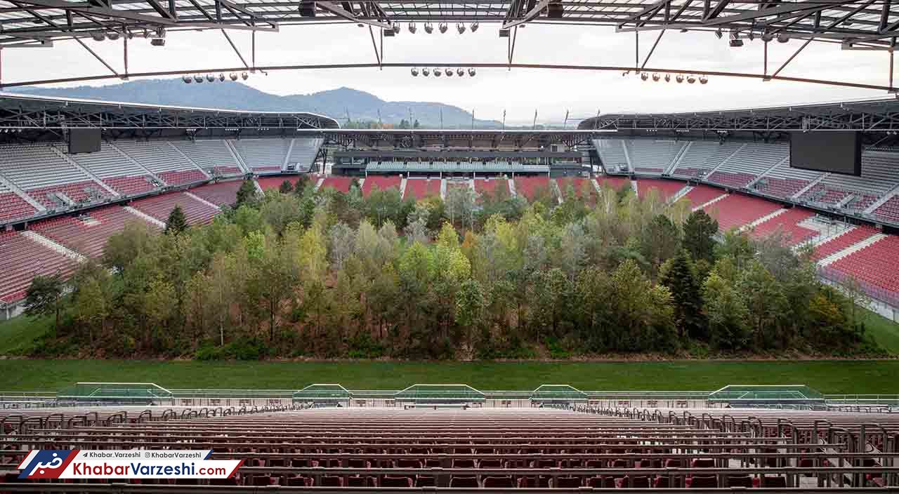 عکس روز| ورزشگاهی که جنگل شد!