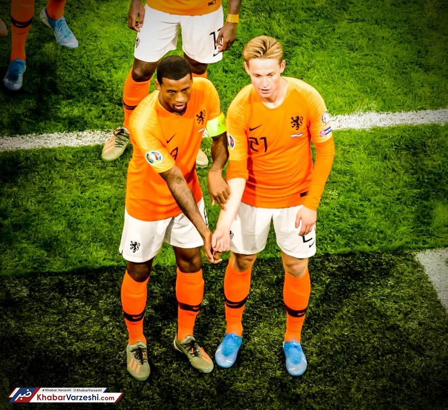 عکس روز| واکنش جالب لاله‌های نارنجی به نژادپرستی