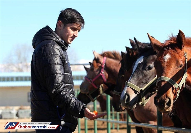 عکس| رکوردشکنی سردار آزمون با خرید اسب نیم میلیون دلاری