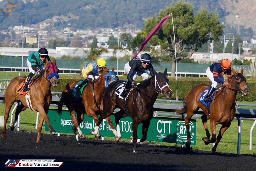 رکورد محرومیت در ورزش شکسته شد