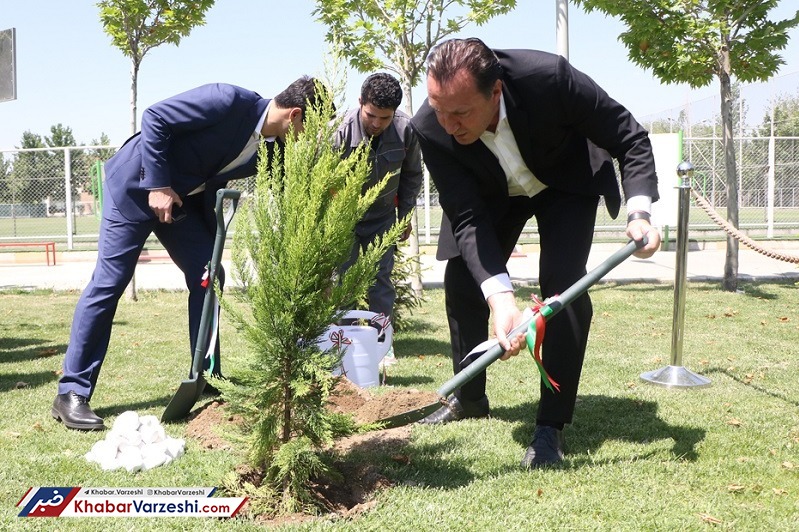 عکس| برگ همه درختان ایران از این آگهی ریخت!